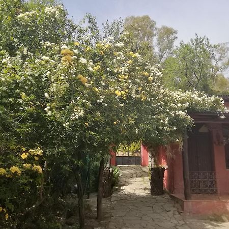 Eco Moyano Posada Gaucín Dış mekan fotoğraf