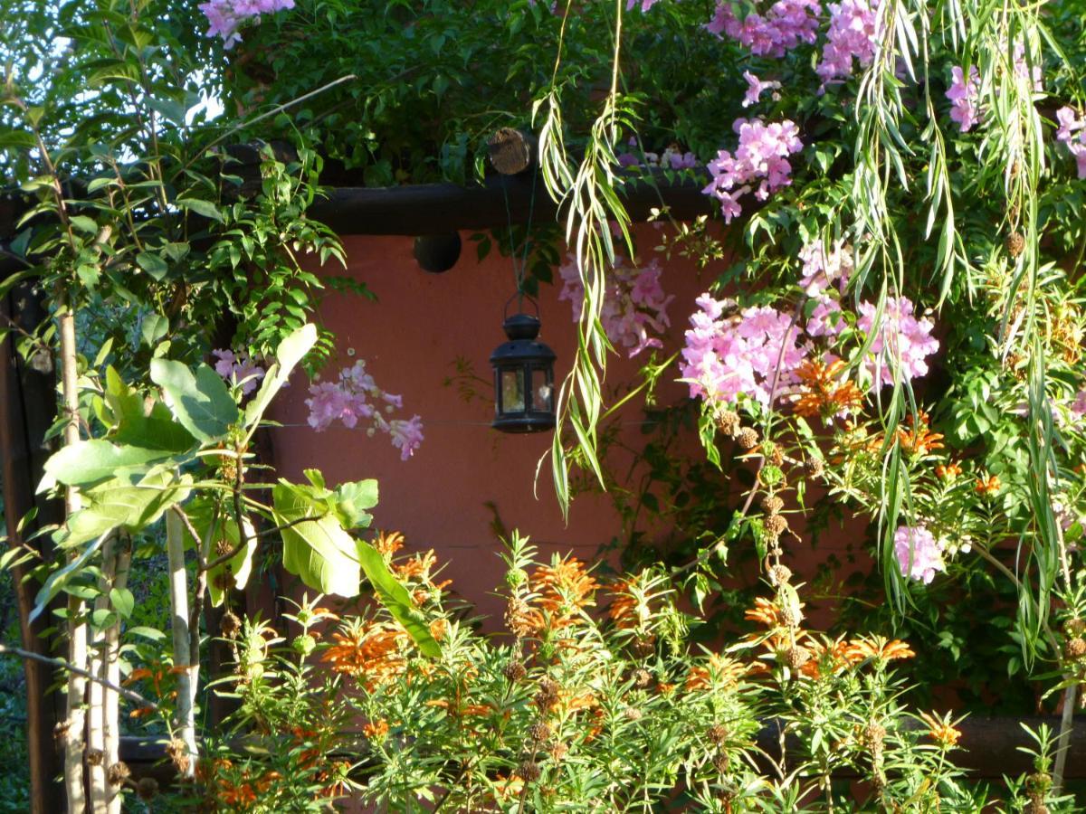 Eco Moyano Posada Villa Gaucín Dış mekan fotoğraf