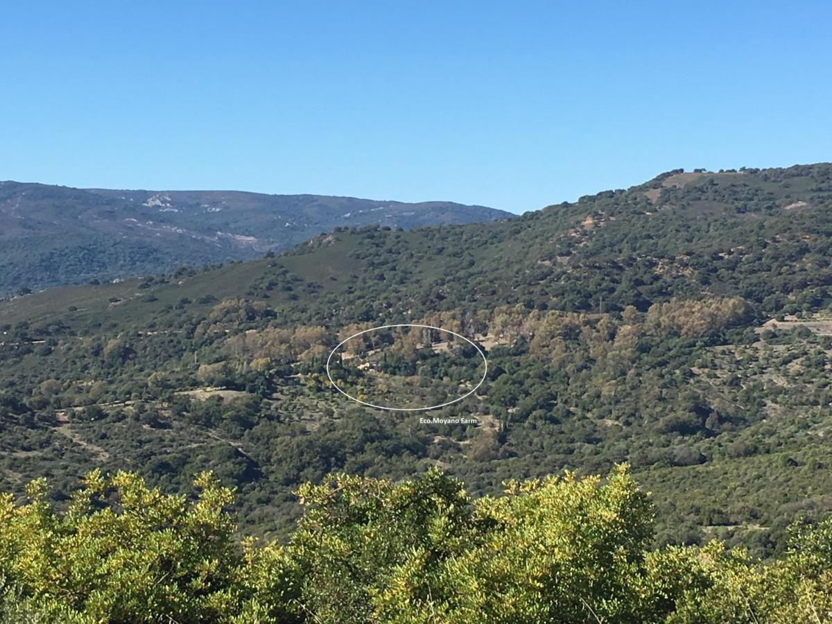 Eco Moyano Posada Gaucín Dış mekan fotoğraf