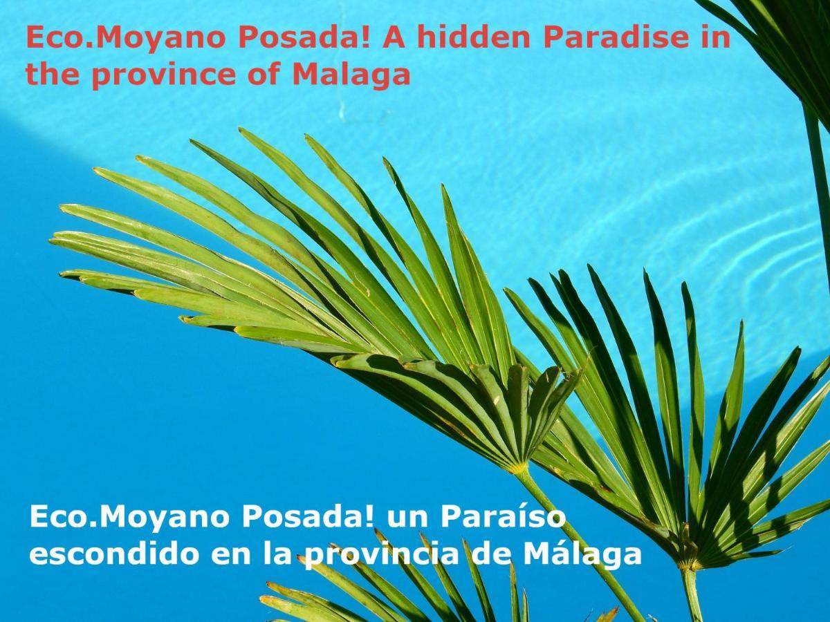 Eco Moyano Posada Gaucín Dış mekan fotoğraf