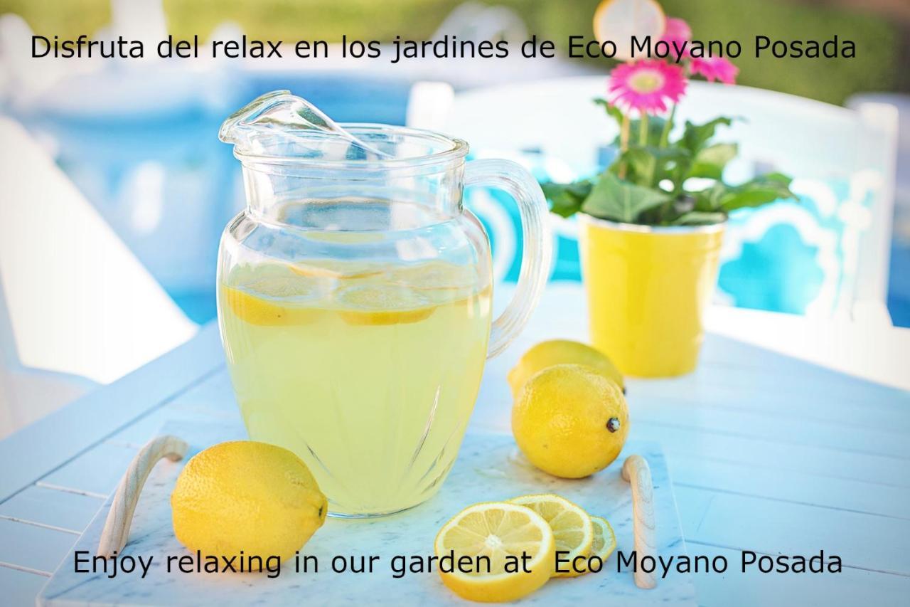 Eco Moyano Posada Gaucín Dış mekan fotoğraf
