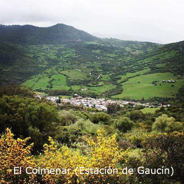 Eco Moyano Posada Gaucín Dış mekan fotoğraf