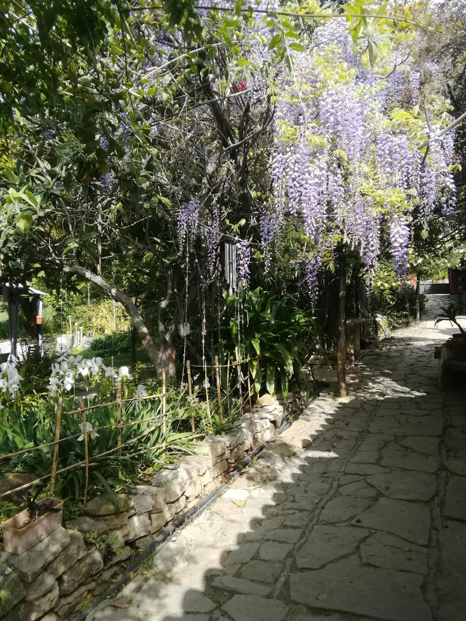 Eco Moyano Posada Gaucín Dış mekan fotoğraf