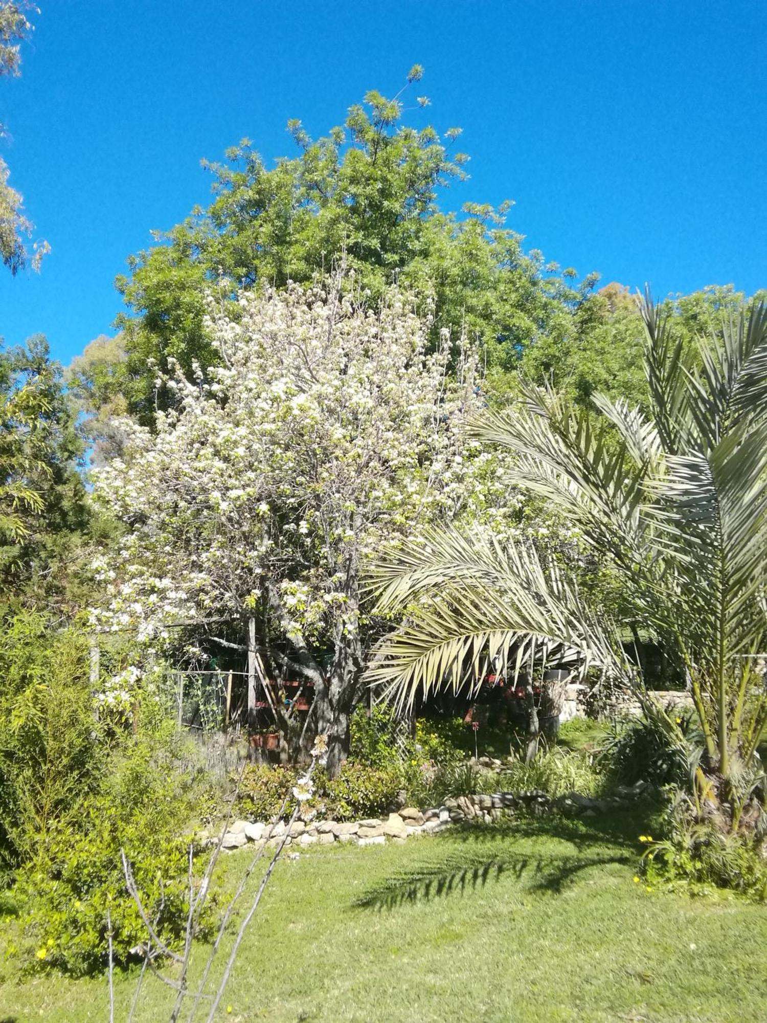 Eco Moyano Posada Gaucín Dış mekan fotoğraf